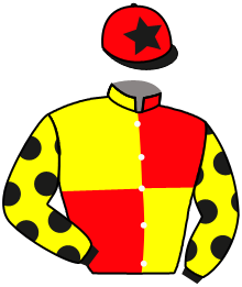 Casaque du n°2 — DUKE OF OXFORD