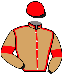 Casaque du n°14 — MIRSKY
