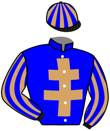 Casaque du n°17 — TRIBAL CHIEF