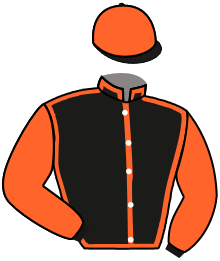 Casaque du n°22 — WALSINGHAM