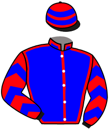 Casaque du n°3 — EBT'S GUARD
