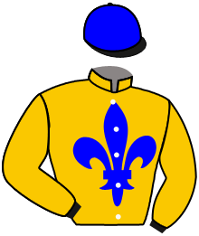 Casaque du n°7 — TWO TEMPTING