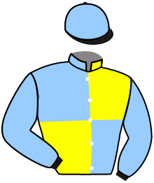 Casaque du n°7 — RUMSTAR