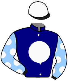 Casaque du n°9 — AZURE ANGEL