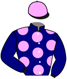 Casaque du n°9 — INNICHEN