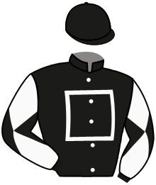 Casaque du n°1 — SILVER STATE