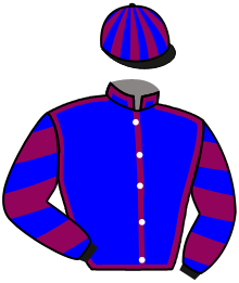 Casaque du n°12 — KENERGY