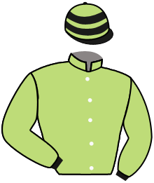 Casaque du n°2 — PEARL RIVER