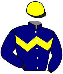 Casaque du n°4 — PIERIAN