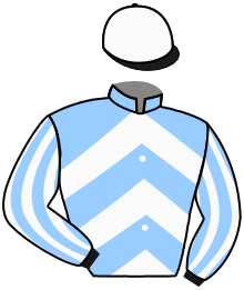Casaque du n°7 — STEEL RAVEN