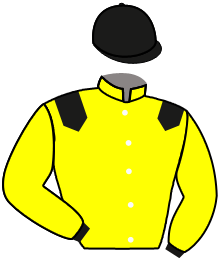 Casaque du n°2 — LADY DORA MAE