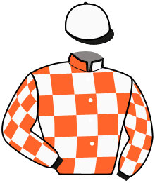 Casaque du n°3 — NEVADA DARBY