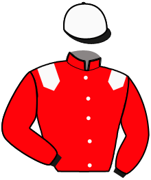 Casaque du n°8 — MONACO