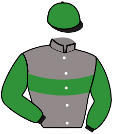 Casaque du n°13 — IBRA DE LOU