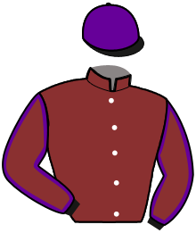 Casaque du n°12 — MILADY D'AS