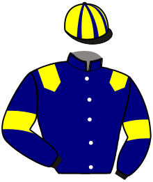 Casaque du n°4 — MISTER SALTOR