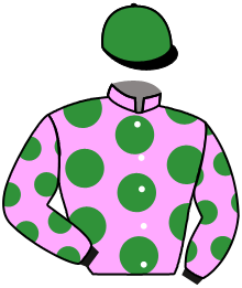 Casaque du n°2 — HURRICK DES OBEAUX