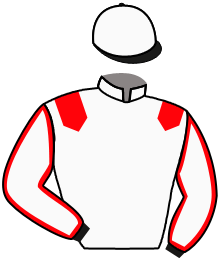 Casaque du n°9 — ARMONY DE ROCHE