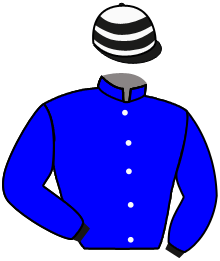 Casaque du n°1 — LORAMAR
