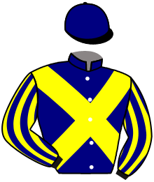 Casaque du n°2 — LUTTEUR DE MAZEROY