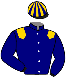 Casaque du n°5 — MATIGNON LEON