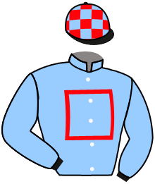 Casaque du n°5 — NOE DE ROMAY