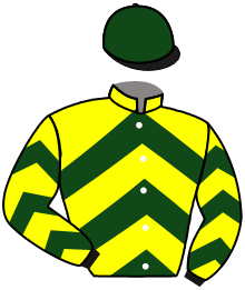 Casaque du n°3 — CHIRICCO