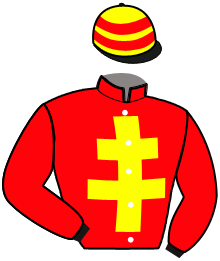 Casaque du n°5 — INFERNAL SPIRIT