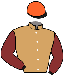 Casaque du n°7 — GAUDI TIT