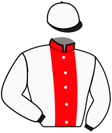 Casaque du n°11 — JALAPA