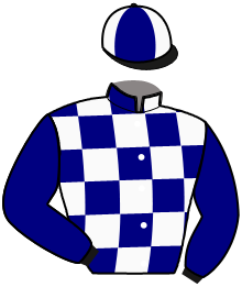 Casaque du n°2 — KABRIEL