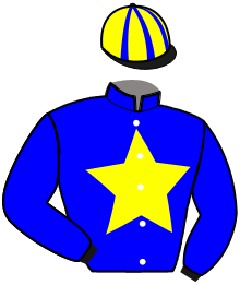 Casaque du n°3 — ILLICO RIVOIS