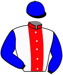 Casaque du n°2 — ELUSIVE NELSON