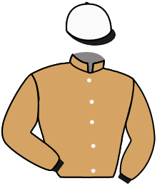 Casaque du n°11 — FREERIDER