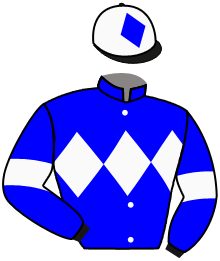 Casaque du n°16 — LADY TEDSMORE