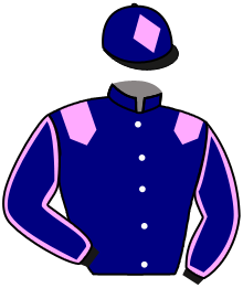 Casaque du n°2 — HADYA
