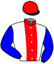 Casaque du n°7 — ROYAL RIGHT