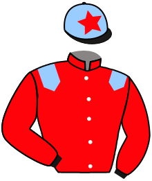 Casaque du n°1 — MAGIEL