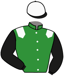 Casaque du n°2 — DESERT SPRING