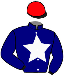 Casaque du n°3 — NEMOS DU GOUTIER
