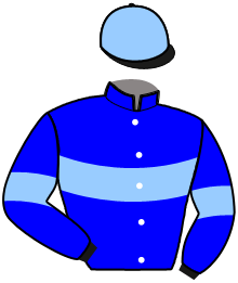 Casaque du n°8 — MAURICETTE BLUE