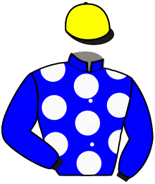 Casaque du n°5 — LUMINEUX