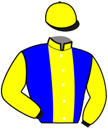 Casaque du n°4 — US DARBY