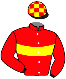 Casaque du n°10 — KING FROMENTRO