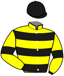Casaque du n°2 — KERVELEAN