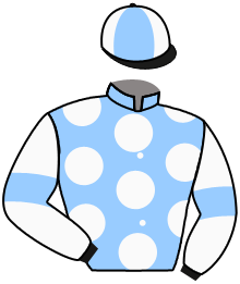 Casaque du n°13 — STRATUSNINE