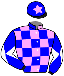 Casaque du n°11 — MARENGO STORM