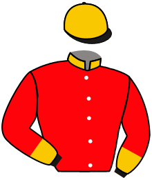 Casaque du n°10 — REGENCY ROYAL