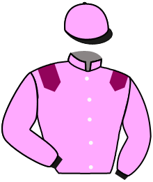 Casaque du n°2 — BUNDABERG