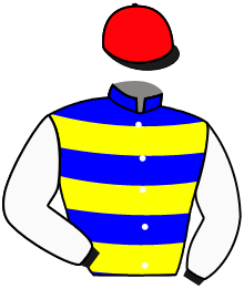 Casaque du n°11 — SHAFDAR